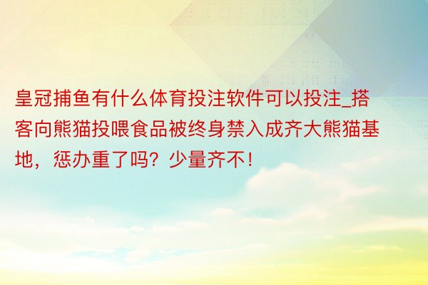 皇冠捕鱼有什么体育投注软件可以投注_搭客向熊猫投喂食品被终身禁入成齐大熊猫基地，惩办重了吗？少量齐不！